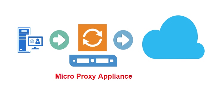 Micro Proxy Appliance