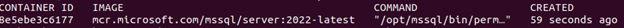 docker container