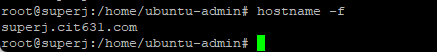 show my hostname